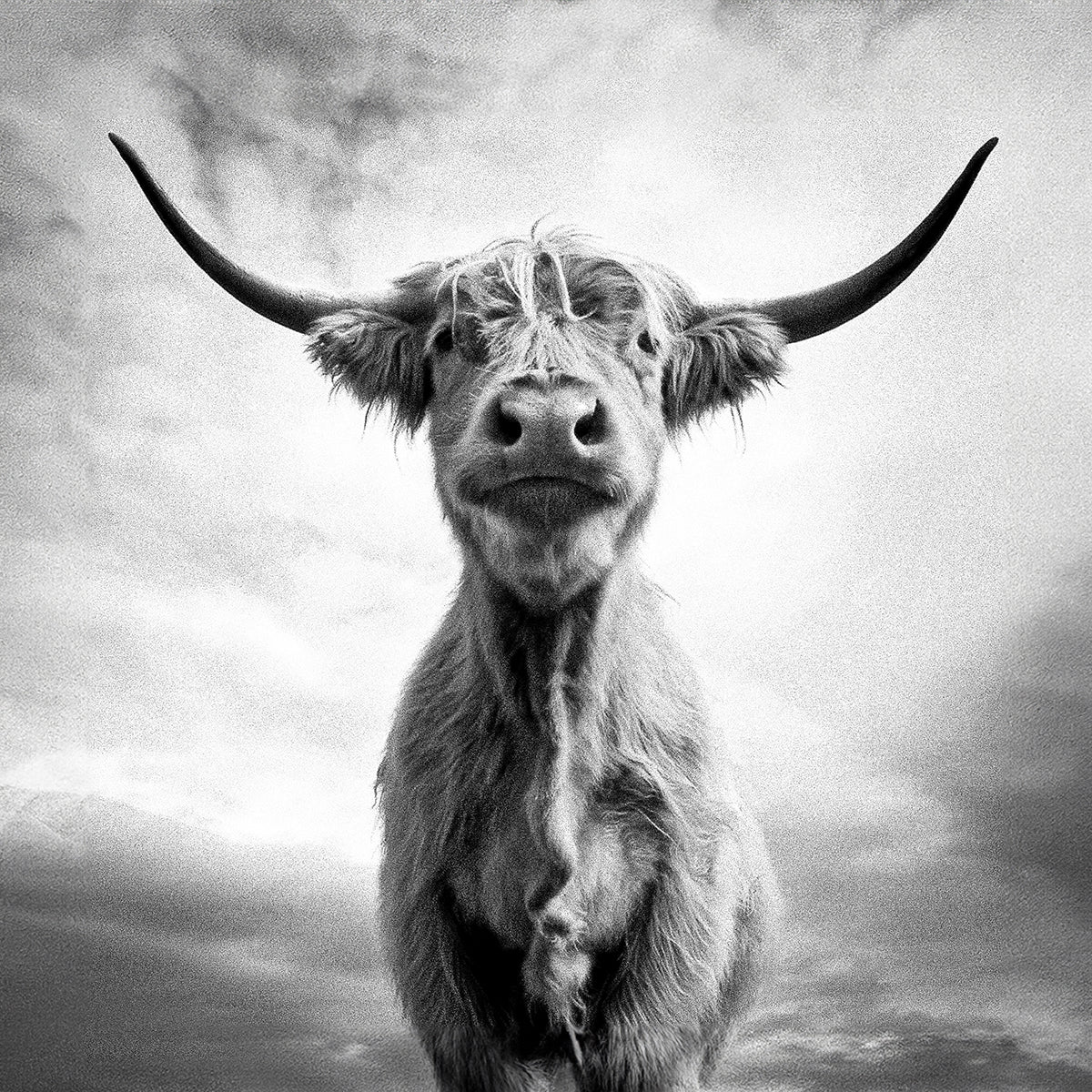 Oh! The Cow! necklace 25mm