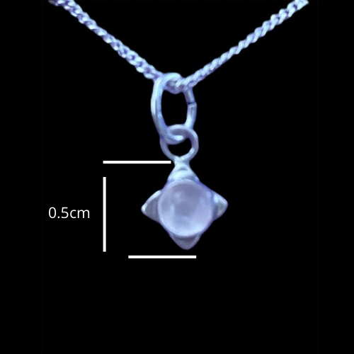 Fossil Ammonite & Engraved Wolf Sterling Silver Necklace