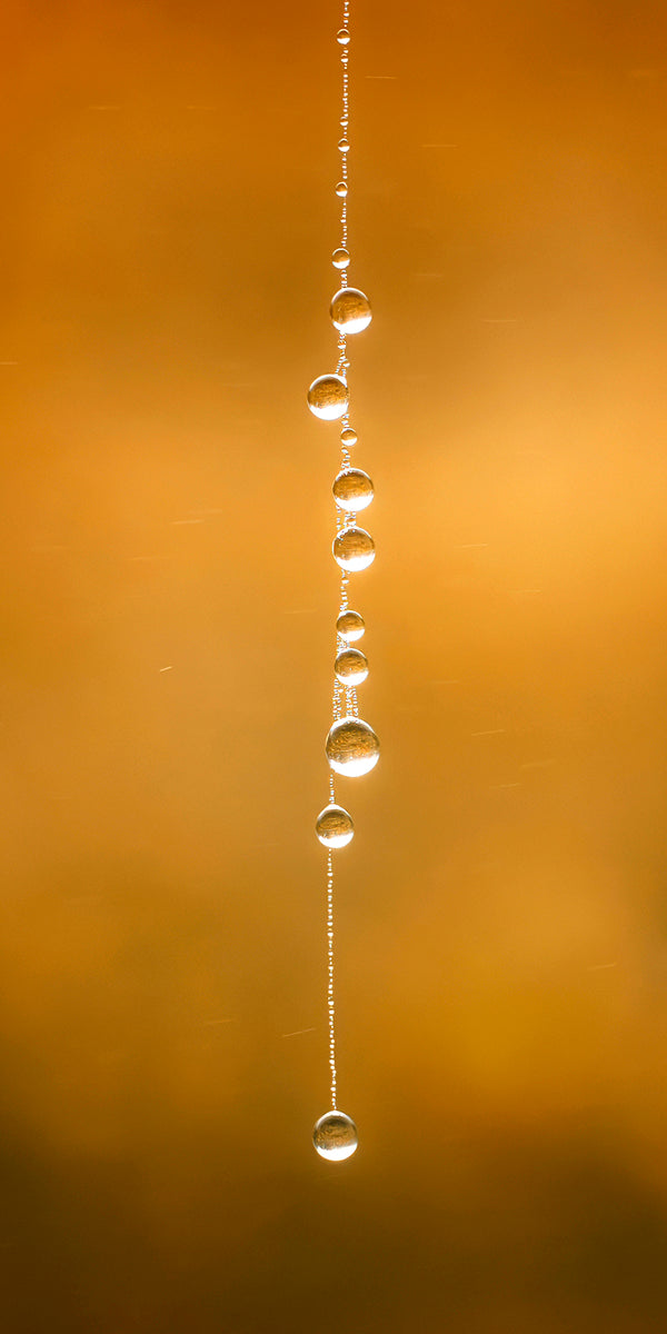 Droplets necklace 25mm x 50mm