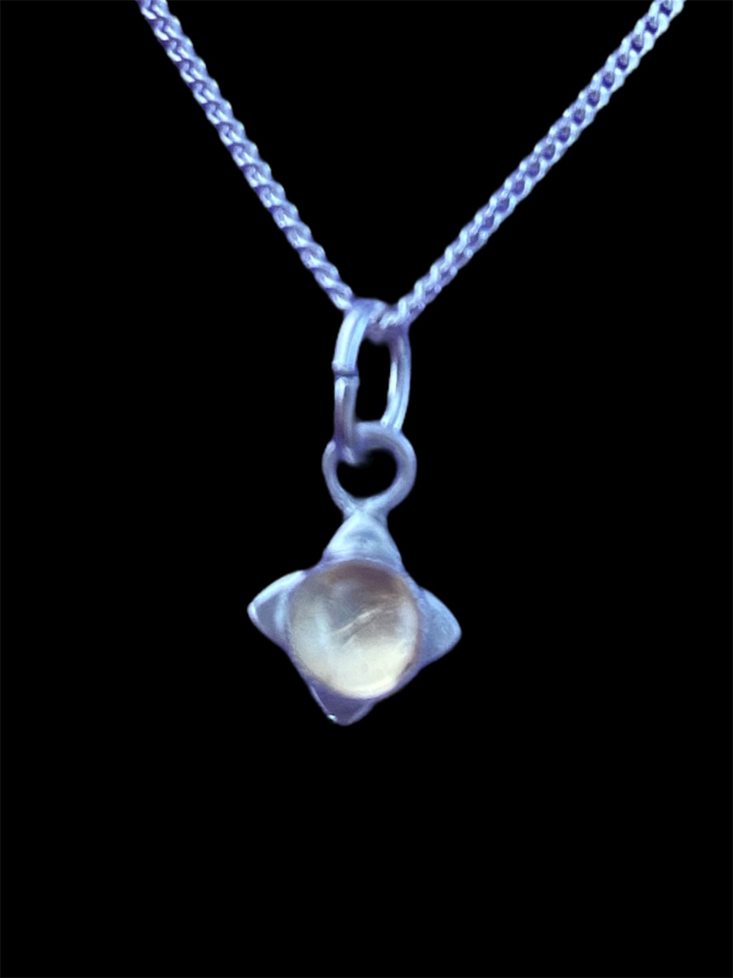 Fossil Ammonite & Engraved Wolf Sterling Silver Necklace
