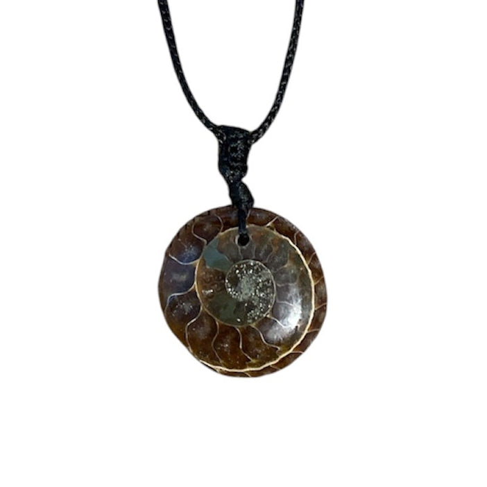 collier pierre naturelle Pierre Ammonite Fossile Rond