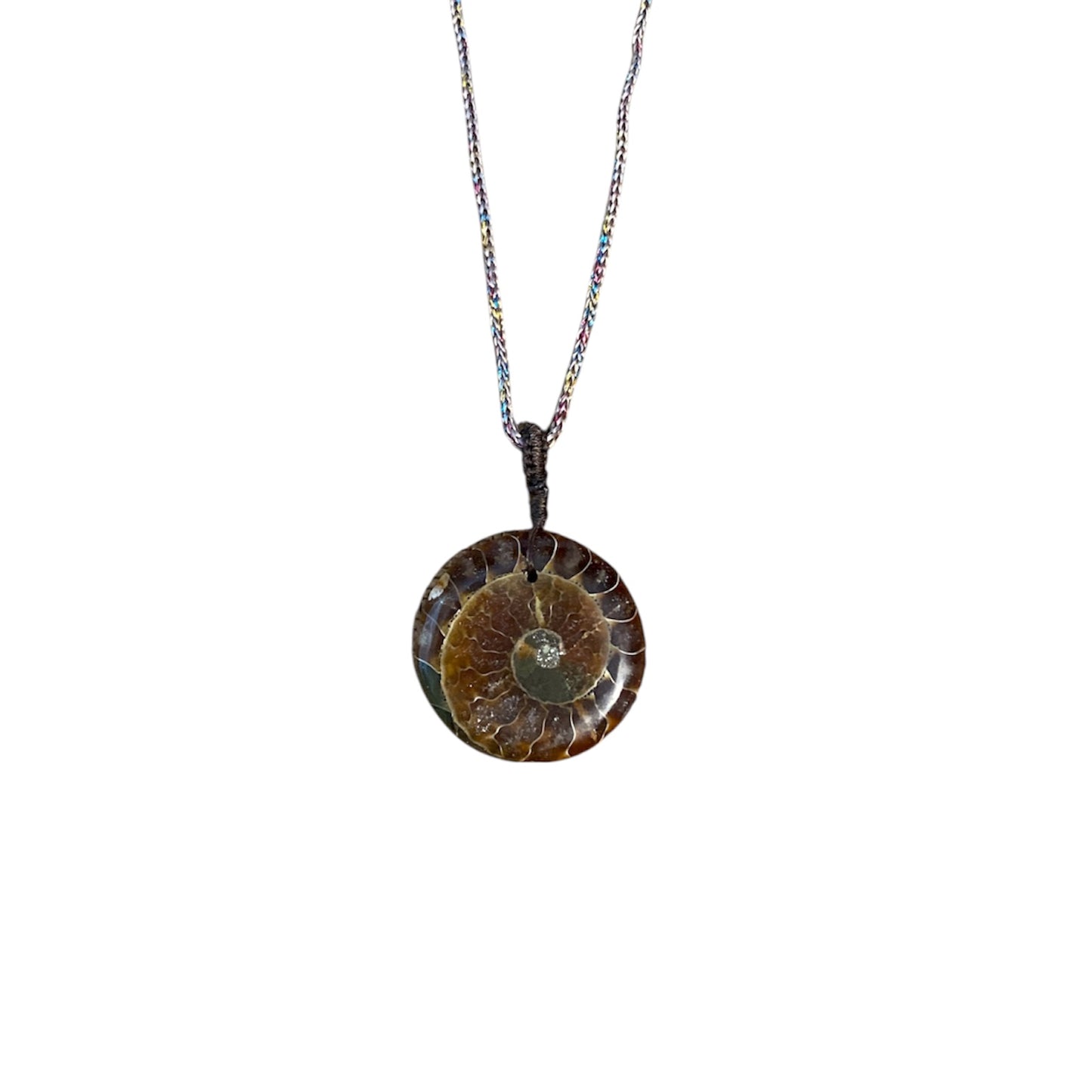 collier pierre naturelle magnifique Pierre Ammonite Fossile