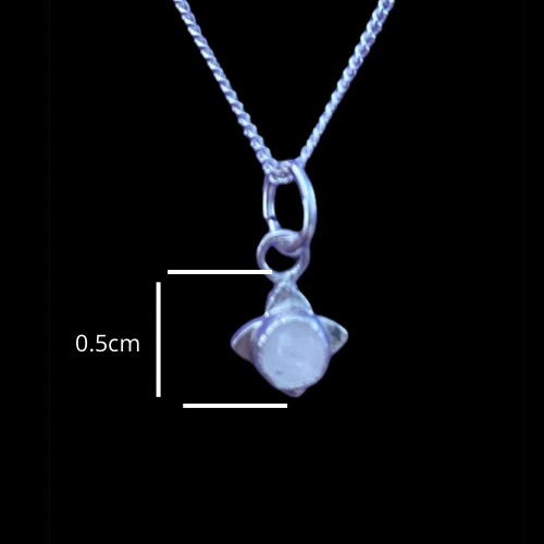 Fossil Ammonite & Engraved Wolf Sterling Silver Necklace
