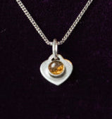 Fossil Ammonite & Engraved Wolf Sterling Silver Necklace
