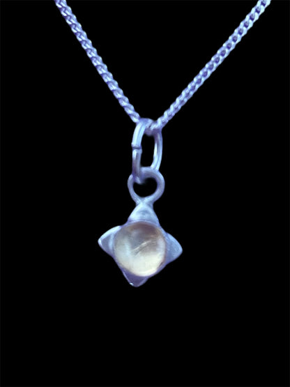 Fossil Ammonite & Engraved Wolf Sterling Silver Necklace
