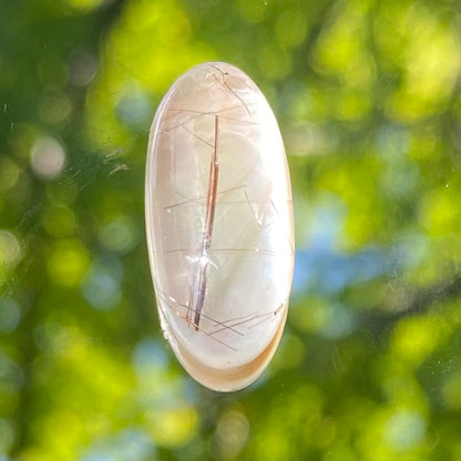Cabochon Quartz Blanc et Coquillage – Ovale 19,2 x 9,2 mm