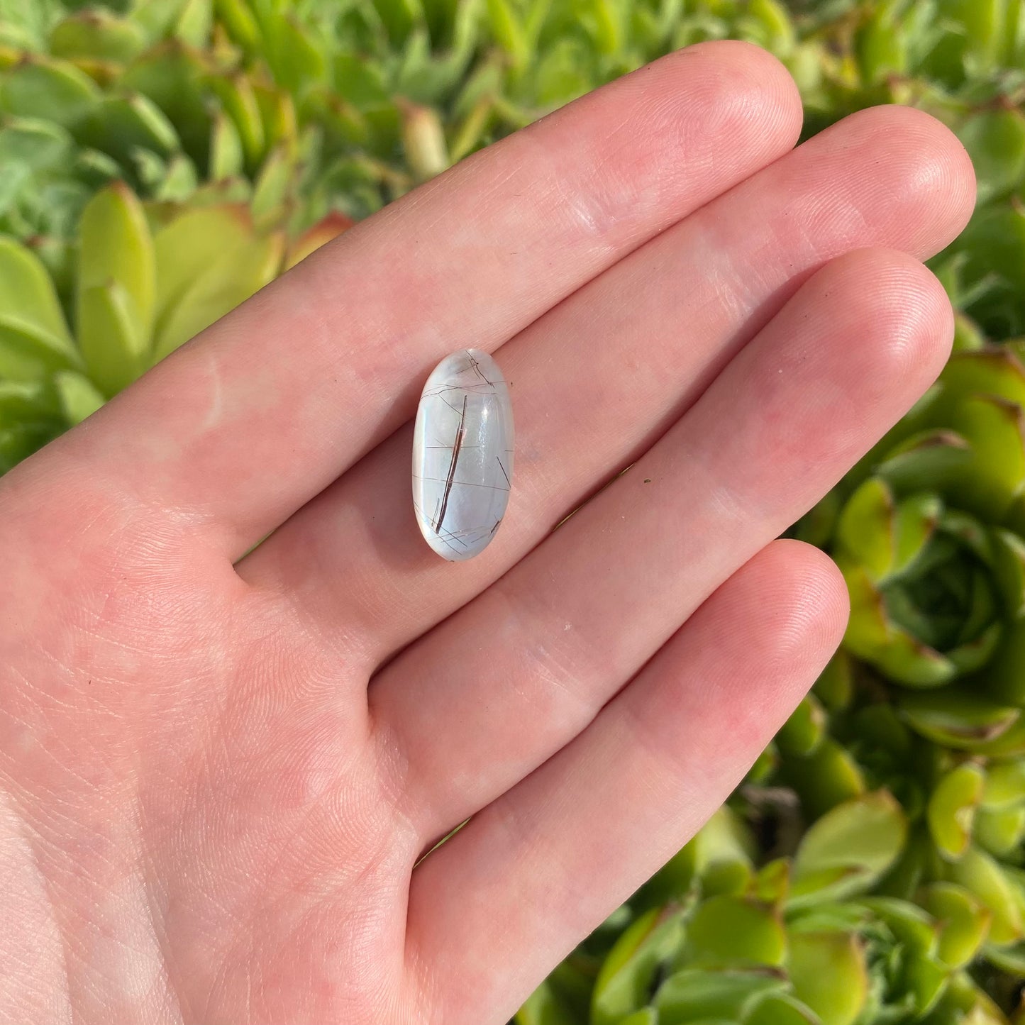 Cabochon Quartz Blanc et Coquillage – Ovale 19,2 x 9,2 mm