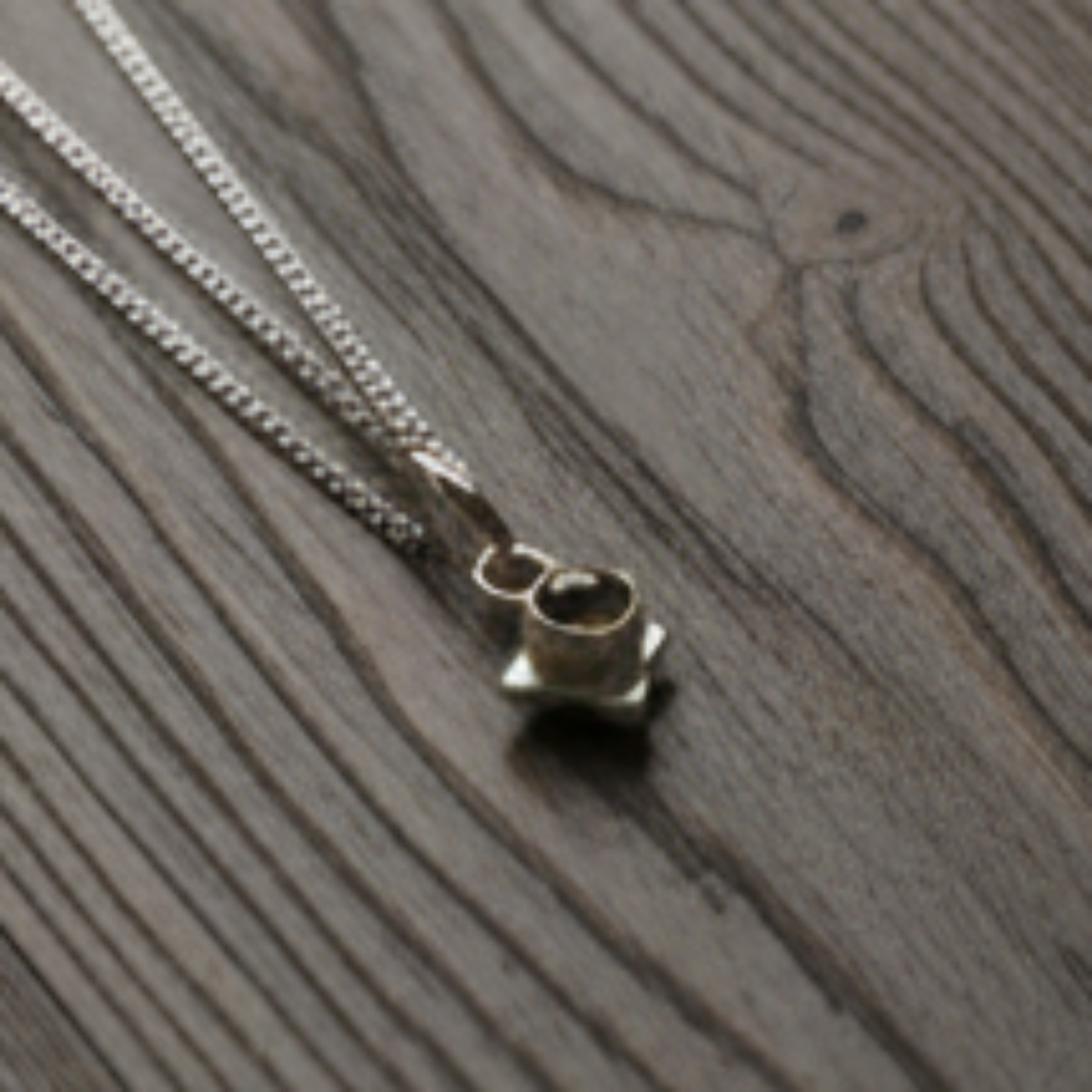 Fossil Ammonite & Engraved Wolf Sterling Silver Necklace
