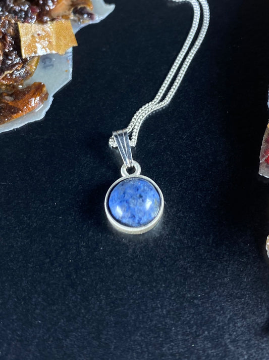 Fossil Ammonite & Engraved Wolf Sterling Silver Necklace

