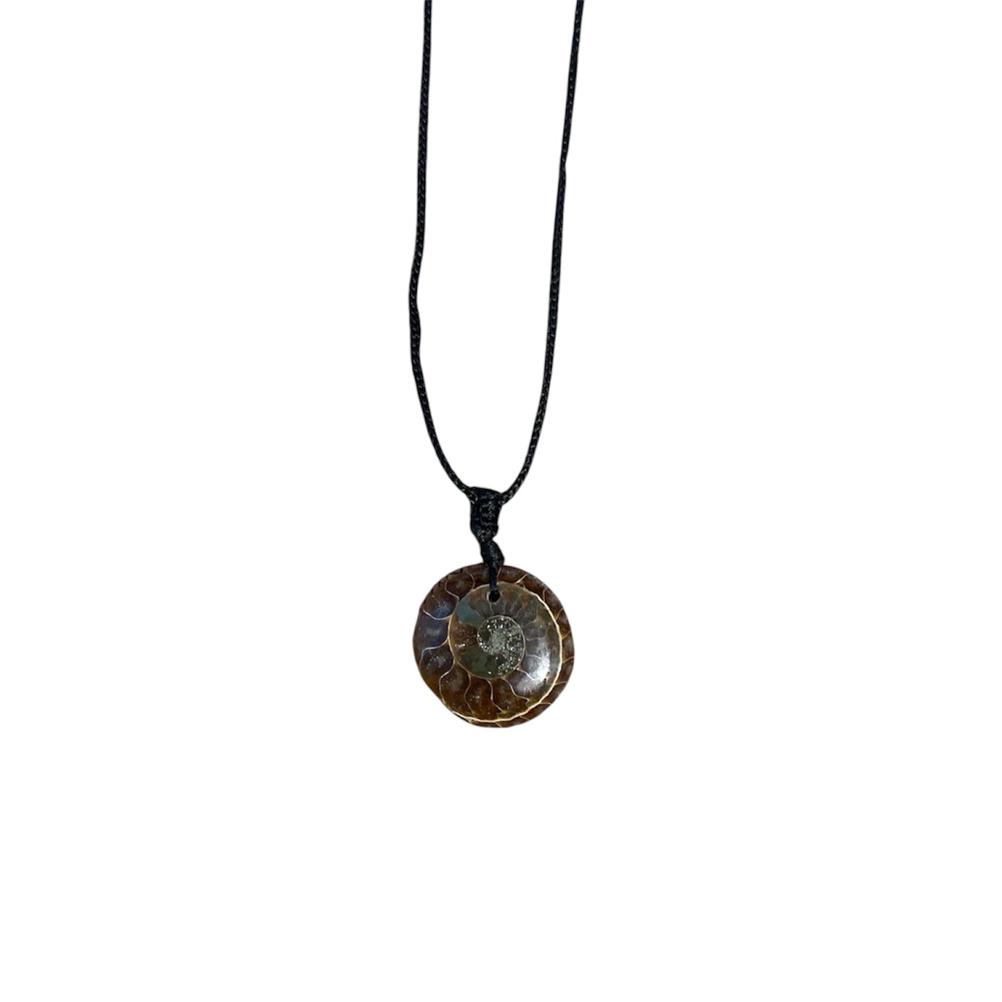 Collier Ammonite Fossile – Pendentif Rond