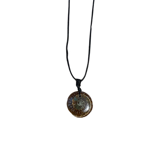 Collier Ammonite Fossile – Pendentif Rond