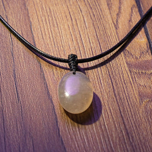 Fossil Ammonite & Engraved Wolf Sterling Silver Necklace
