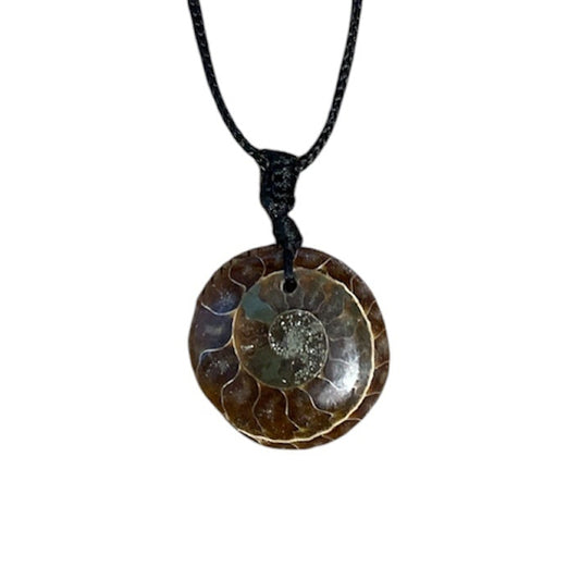 collier pierre naturelle Pierre Ammonite Fossile Rond