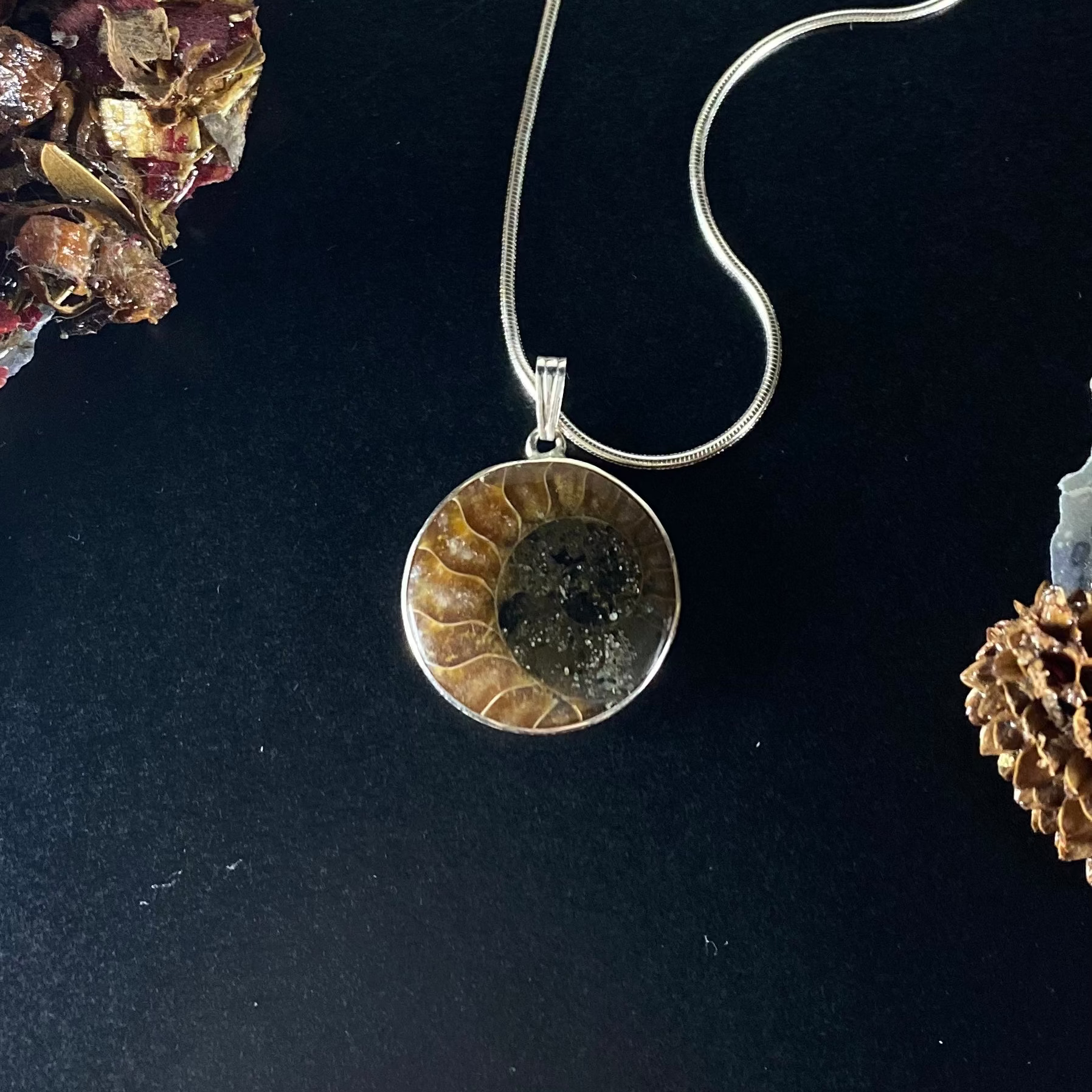 Collier Ammonite Fossile Ying Yang Argent Sterling | Creationsjeanne