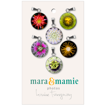 Anneaux pour verres à vin