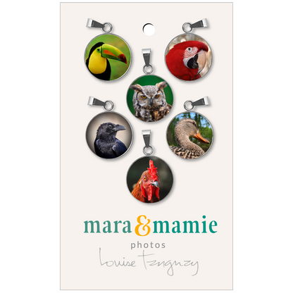 Anneaux pour verres à vin