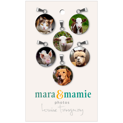 Anneaux pour verres à vin